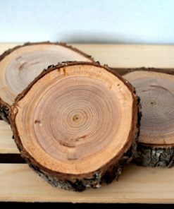 Wood slices with bark