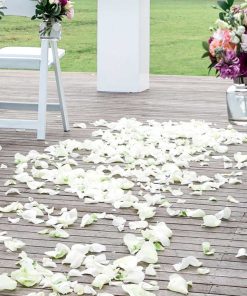 Rose petals scattered on wooden deck