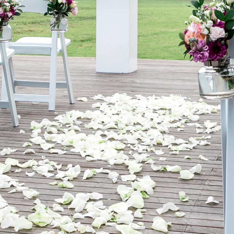 White Carpet Aisle Runner For Stylish Weddings In Melbourne Styled   Rose Petal Aisle 800x800 