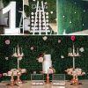 1st Birthday party package montage including light up number 1, green wall, donut easel and cake stands