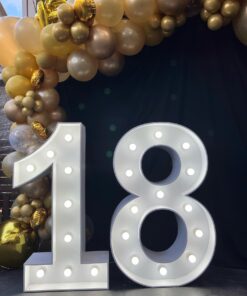 18 light up numbers